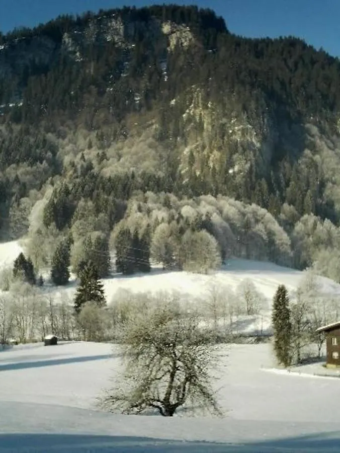 Apartment Wohnung Haus Falkenstein Nr 4 Mit Balkon In Oberstdorf-Tiefenbach Germany